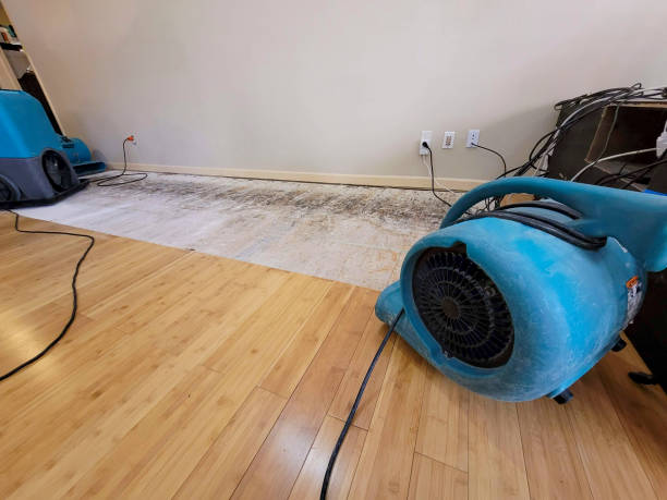 Professional Water Damage Repair technician working in Port Gibson, MS